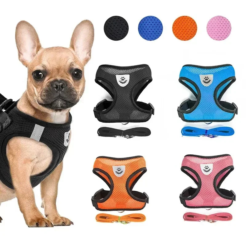 Breathable Mesh Dog Harness and Leash Set Puppy Dog Cat Vest Harness for Small Dogs Dog Accessories Supplies